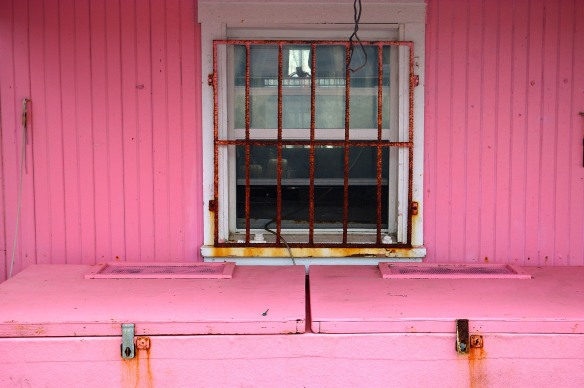 pink bait shop