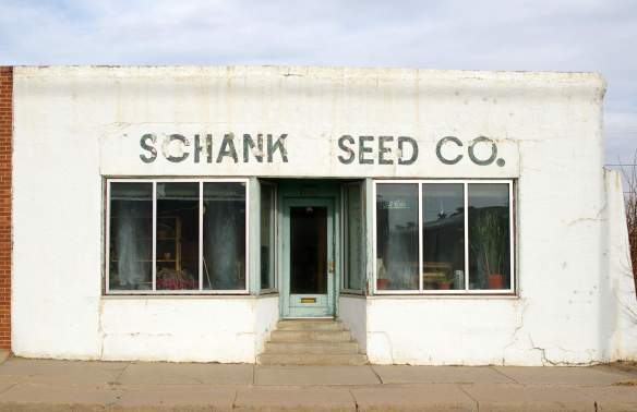 schank seed