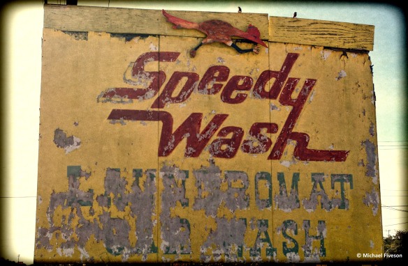 speedy wash